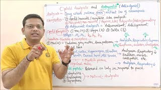 Opioid Analgesic amp Antagonist Part 02  Classification of Analgesic amp its Receptors  Opioid Drug [upl. by Sartin864]