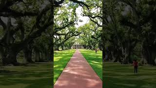 Oak Alley Plantation  Vacherie Louisiana [upl. by Atrim]