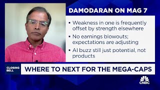 The market is in pause mode on mega caps and saying show me the money says NYUs Aswath Damodaran [upl. by Eiryk277]