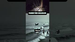 Faren ved Gilleleje gys gilleleje dansk fyp creepypasta [upl. by Molli]