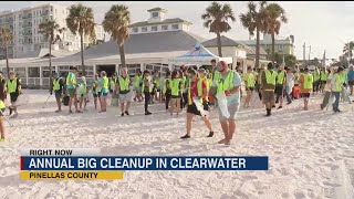 Dozens of volunteers show up to help cleanup Clearwater Beach [upl. by Etirugram]