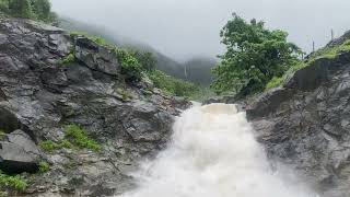 Tamhini ghat Pune road side waterfall [upl. by Eirahs328]