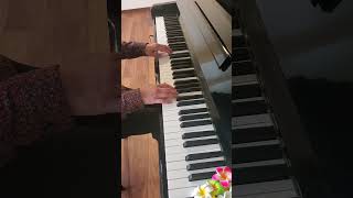 Mozart Piano Sonata No 15 in C major K545 I played it again！ [upl. by Yrotciv]