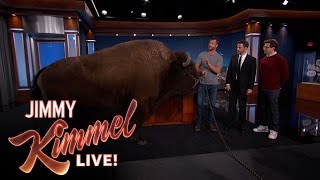 Wild Animals with Dave Salmoni amp Andy Samberg [upl. by Ariaec575]