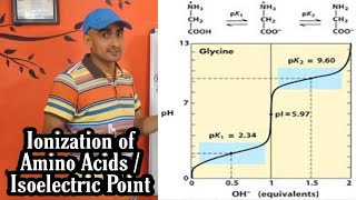 Ionization of Amino Acids and Concept of pI  pK  Isoelectric Point  Dr Nagendra Singh  PENS2 [upl. by Annetta]