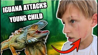 IGUANA ATTACKS KID EATING ICE CREAM [upl. by Felipe]