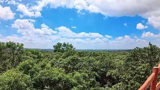 Narsapur Urban Forest Watch tower Walk Around [upl. by Notfa]