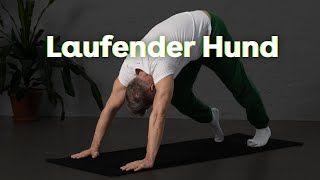 Herabschauender Hund laufend  Schultern amp Hamstrings dehnen  AOK [upl. by Obeng340]