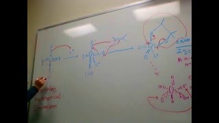 Sharpless Asymmetrical Dihydroxylation [upl. by Paterson909]