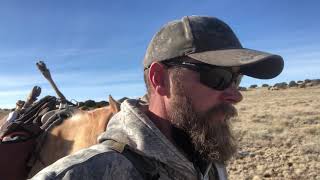 Braydens 2023 Muzzleloader Elk Hunt [upl. by Pantia]