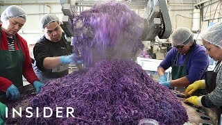 How Sauerkraut Is Made [upl. by Naejeillib]