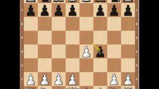 Chess Openings The Kings Gambit [upl. by Adniled]