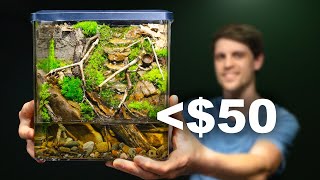 Easy Nano Eco Cube  Cheap DIY Paludarium [upl. by Doreen]