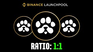 Paws Airdrop Binance Listing Confirm  Paws Airdrop Ratio [upl. by Nahtanohj195]