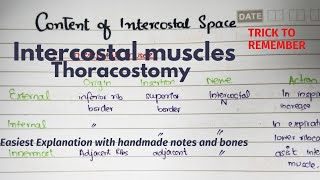 Intercostal Space  Contents  Muscles  Clinicals  Thoracostomy  Part 1 Easiest Explanation [upl. by Loredana]