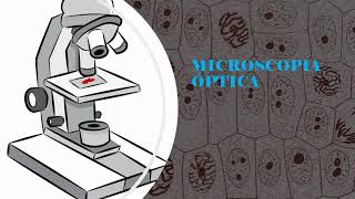 Microscopia parte 1 [upl. by Elaen]