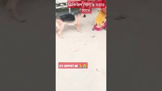 Vodafone dog ðŸ¶ðŸ•dog uttam uttam chakraborty 3179uttam dog doglover [upl. by Hanson]