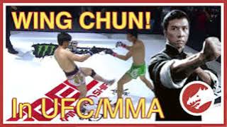 WING TSUN VS MMA [upl. by Enneiviv29]