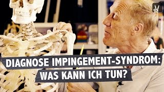 Impingement Syndrom  was ist passiert und was kann ich tun Professor Froböse klärt auf [upl. by Trebor]