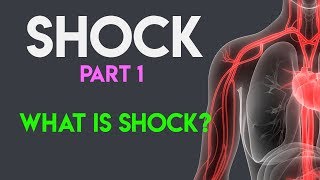 What Is Shock  Shock Pathophysiology  Shock Part 1 [upl. by Nylatsyrc]