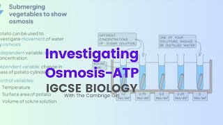 Investigating Osmosis IGCSE Biology ATP [upl. by Onitnatsnoc]