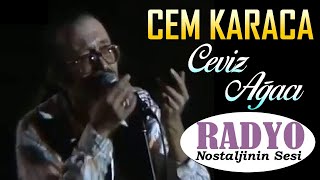 Cem Karaca  Ceviz Ağacı 1993 Gülhane konserleri  CANLI performans [upl. by Enohpesrep]