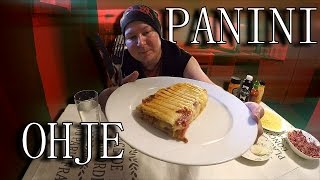 PANINI OHJE [upl. by Kresic]