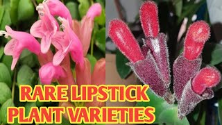 LIPSTICK PLANT VARIETIES WITH ITS NAME margiepulido21 [upl. by Yahsat479]