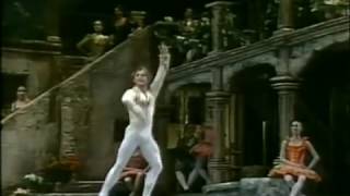 Mikhail Baryshnikov  Don Quijote  ABT 1983 [upl. by Codee638]