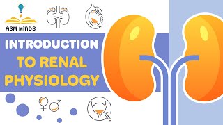 Introduction To renal physiology by ASM Minds [upl. by Bertero]