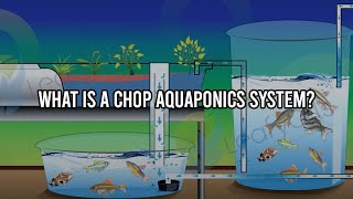 What is a CHOP Aquaponics System [upl. by Annala]