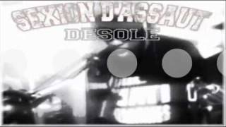 Sexion DAssaut  Desole  Video  Live Session [upl. by Aneekan]