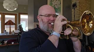 The Carol Brass Phat Puppy A Pocket Flugelhorn Designed by Taylor Trumpets with a Big Sound [upl. by Stannfield509]