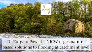 NICW urges naturebased solutions to flooding at catchment level [upl. by Melisande355]