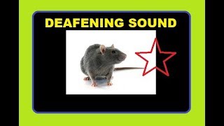 RODENT REPELLENT  DEAFENING SOUND KILLER MICE [upl. by Aicirt898]