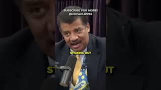 Titanic Iceberg w Neil DeGrasse Tyson [upl. by Asillim]