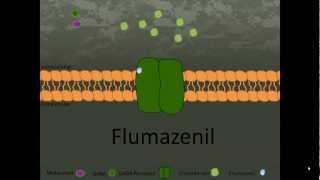 Flumazenil [upl. by Eronel]