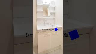 北海道神宮に近い自然豊かな住環境が魅力のマンション 札幌マンション 不動産 札幌不動産 ルームツアー [upl. by Burleigh]