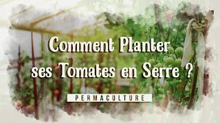 Comment bien planter ses tomates en serre [upl. by Navar378]