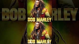 Bob Marley  Get Up Stand Up [upl. by Hatnamas]