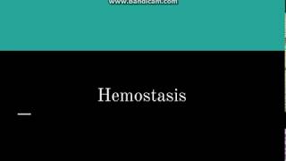 Hemostasis [upl. by Lula94]