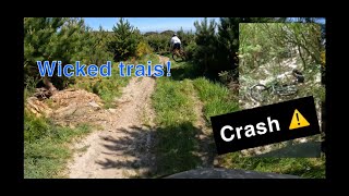 Ripping Sick MTB Trail NZ Natives [upl. by Agate]