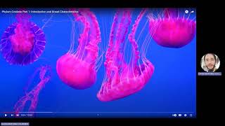 Video clase Cnidarios generalidades y clase hidrozoa [upl. by Nahseez]