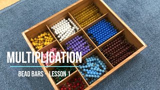 VMI Math  Multiplication Bead Bars 1 Montessori [upl. by Eerual101]