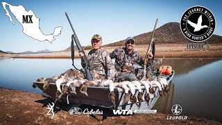 Pintail Heaven My First Band Sonora Mexico  The Journey Within  Waterfowl Slam [upl. by Dave852]