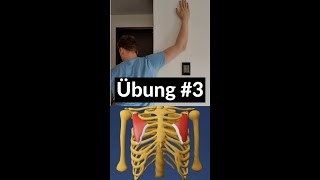 Übung 3 Training mit Trichterbrust  Pectoralis minor  Eckart Klobe Christoph Schlüter [upl. by Mab]