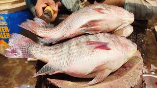 Delicious Bangladeshi Popular Big Tilapia Fish Cutting Skills  Fish Cutting Skills [upl. by Lewin80]