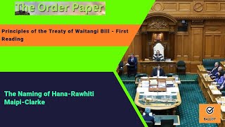 The naming of HanaRawhiti MaipiClarke on the Principles of the Treaty of Waitangi Bill [upl. by Tadd]