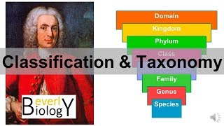 Classification and Taxonomy [upl. by Moody]