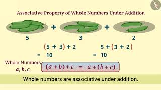 Associative Property of Whole Numbers  Part 13  English  Class 6 [upl. by Rowney]